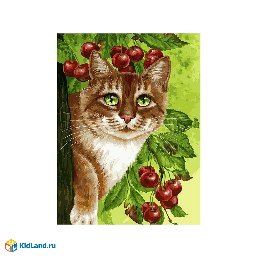 Играть в раскраску Кошка на дереве онлайн