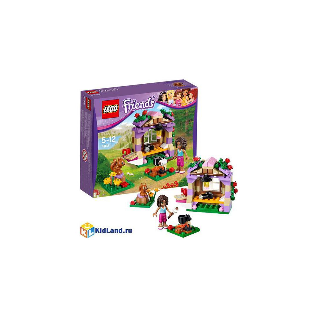 41031 lego hot sale friends