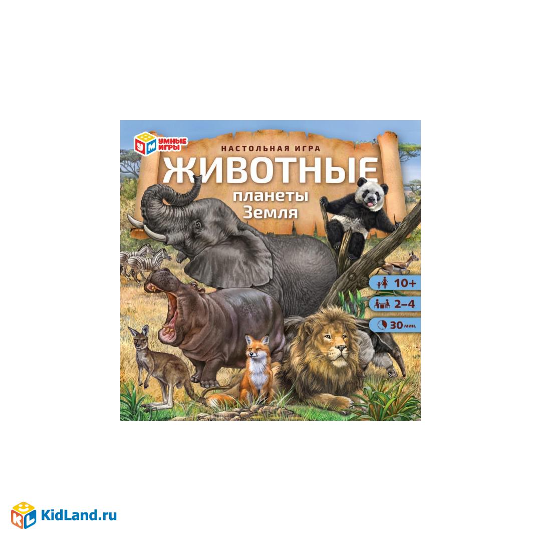 Книжка с окошками 