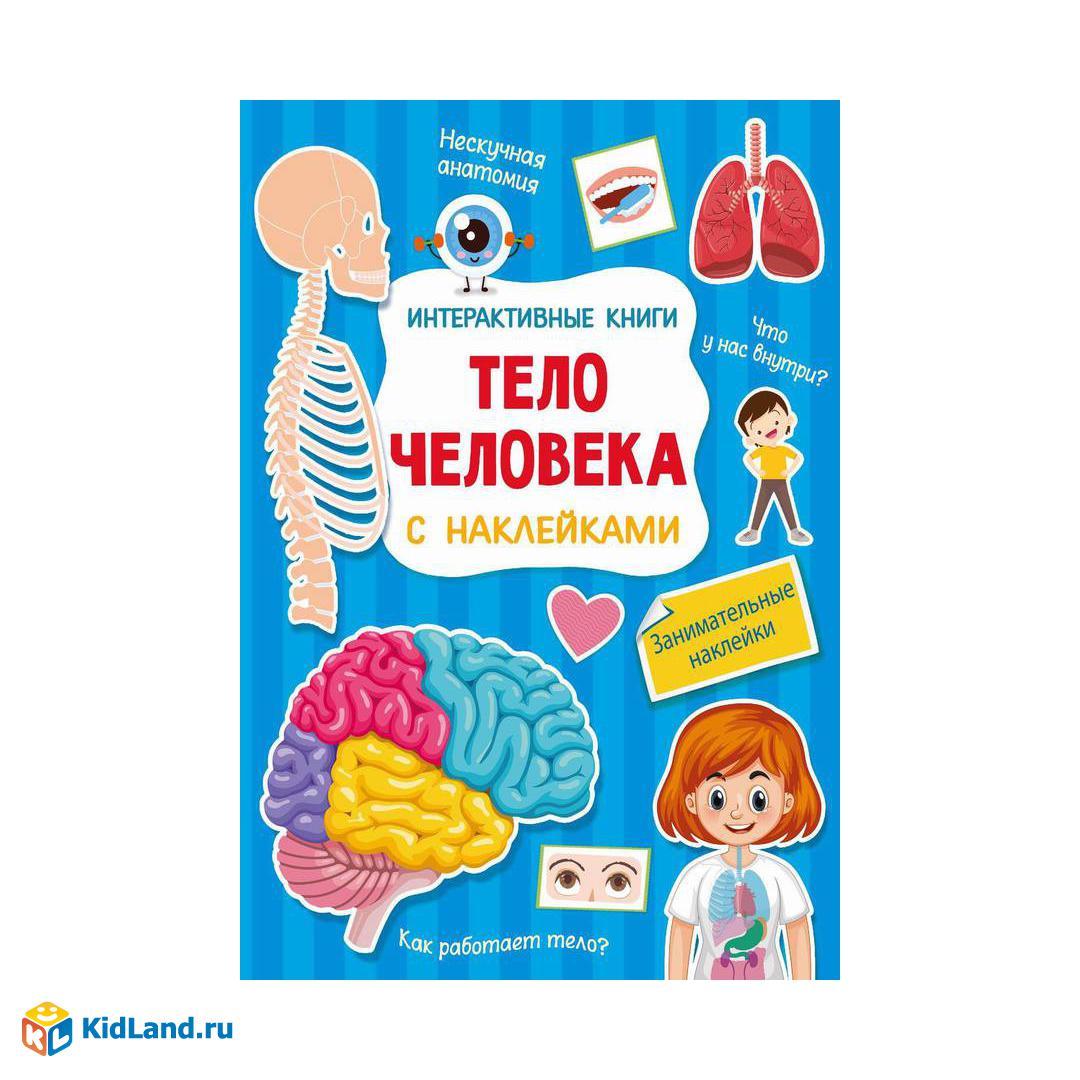 Книга АСТ Тело человека с наклейками | Интернет-магазин детских игрушек  KidLand.ru