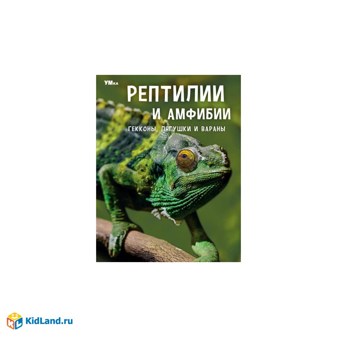 Рептилии и амфибии. Гекконы, лягушки и вараны. Энциклопедия. 197х255мм.  7БЦ. 48 стр. Умка