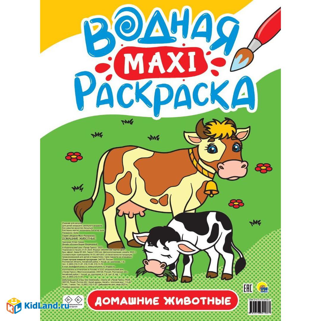 Книжка Водная Макси-раскраски Домашние животные | Интернет-магазин детских  игрушек KidLand.ru