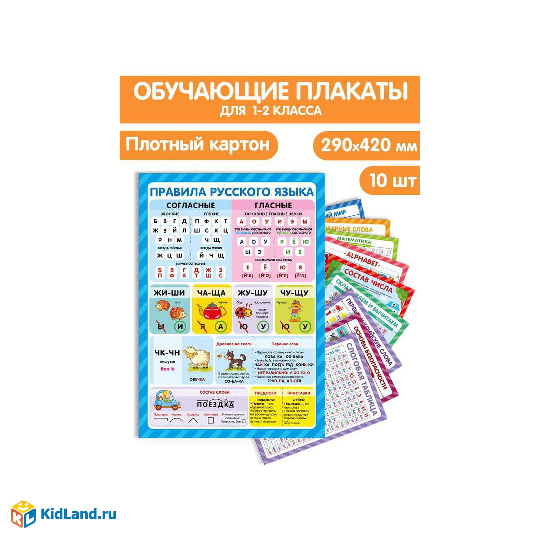 Обучающие плакаты Malamalama Для 1-2 класса Знания для школьников |  Интернет-магазин детских игрушек KidLand.ru