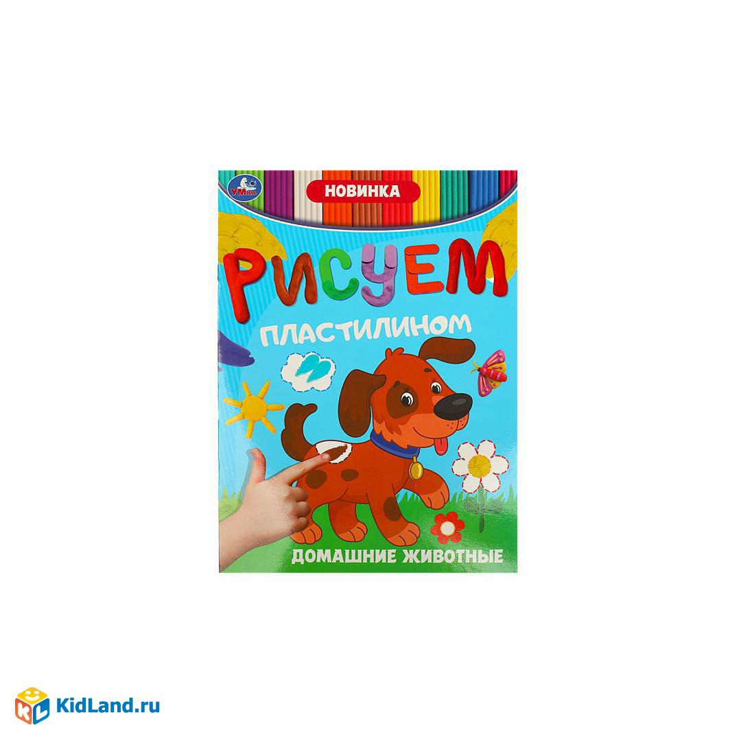 Домашние животные. Рисуем пластилином. 210х285 мм. Скрепка. 8 стр. Умка |  Интернет-магазин детских игрушек KidLand.ru