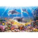 Пазл Castorland 500 деталей Дельфины, средний размер элементов 1,91,7 см