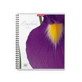 Тетрадь общая на спирали ErichKrause Ирисы, 96 листов, клетка, гламинация глянцевая