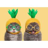 Холст с красками 30х40 см по номерам. СМЕШНЫЕ КОТЯТА