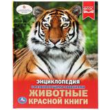 "УМКА". ЖИВОТНЫЕ КРАСНОЙ КНИГИ (ЭНЦИКЛОПЕДИЯ А4 С РАЗВИВАЮЩИМИ ЗАДАНИЯМИ) 48 СТР.