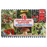 КАРТОЧКИ В ПАПКЕ. "УМКА" ЯГОДЫ И ГРИБЫ.ОБЪЕМ: 16 КАРТОЧЕК. ФОРМАТ: 190Х120ММ,2 КЛАПАНА 