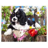 Набор для творчества Рыжий кот Холст с красками по номерам Вислоухий щенок 30х40 см