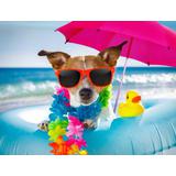 Набор для творчества Рыжий кот Холст с красками по номерам Собака на отдыхе (20цветов) 30х40 см