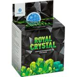 Набор для опытов Intellectico Royal Crystal кристалл зеленый