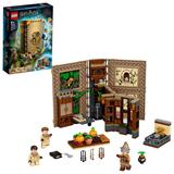 Конструктор LEGO Harry Potter Учёба в Хогвартсе: Урок травологии