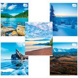 Тетрадь А5 48л BRAUBERG клетка, обложка картон, ПРИРОДА, 403031