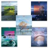 Тетрадь А5 80л HATBER скоба, клетка, обложка картон, IMPRESSIONS (5 видов), 80Т5В1