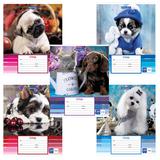 Тетрадь 24л BRAUBERG линия, обложка картон, ЗАБАВНЫЕ ЩЕНКИ, 403585