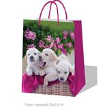 Пакет подарочный глянцевый 26*32*14см собачки ИГРАЕМ ВМЕСТЕ