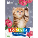 Набор цв. бумаги Двухсторонней Котенок 16л 16 цв. А4ф