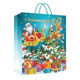 Пакет подарочный глянцевый ml, 22*31*10 см ЧУДО ПРАЗДНИК