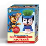 Игрушка опыты выращивание растений IQ Эксперимент