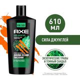 AXE Гель для душа и шампунь дикие леса амазонии 610мл
