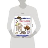 Книга АСТ Динозавры. Познавательный набор