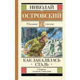Книга АСТ Школьное чтение Как закалялась сталь Островский Н.А
