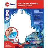 Набор со слаймом.  Анатомия рыбы.