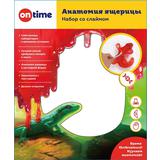 Набор со слаймом.  Анатомия ящерицы.