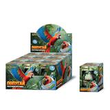 Растущее ЯЙЦО попугай, дисплей IQ Эксперимент уп-12шт 