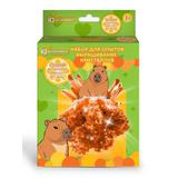 Набор по выращиванию кристаллов капибара IQ Эксперимент