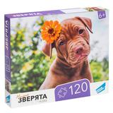 Пазлы 120 Зверята