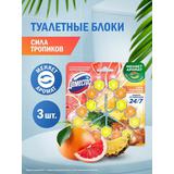ДОМЕСТОС Туалетный арома-блок для очищения унитаза "Свежесть цитруса" 3шт.х50г