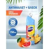 ДОМЕСТОС Универсальное чистящее средство "Антиналет + блеск" 750мл