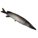 Антистресс Щука 60 см