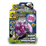 Опыты по биологии препарация летучей мыши, IQ Эксперимент