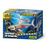 Набор биология борная модель динозавра 3D, коробка IQ Эксперимент