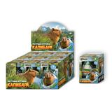 Растущее ЯЙЦО капибара, дисплей IQ Эксперимент