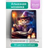 Алмазная мозаика Кот-чародей, 30х40 см, квадратная, 30 цв., полн. заполнение, с подр.