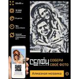 Алмазная мозаика Селфиконструктор Классик, 22х30, 6 цветов