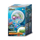 Игрушка опыты выращивание растений IQ Эксперимент