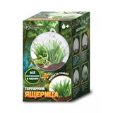 Игрушка опыты выращивание растений IQ Эксперимент