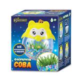 Игрушка опыты IQ Эксперимент