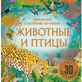 Книга АСТ Энциклопедия для детей с объемными картинками и окошками : Животные и птицы