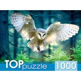 Пазлы 1000 Полет совы