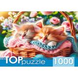 Пазлы 1000 Два котёнка в корзине